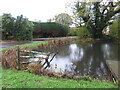 Pond at New House Farm