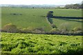 Farmland, St Ewe