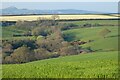 Farmland, St Ewe