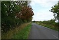 Pavenham Road towards Carlton