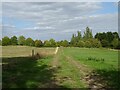 Farm track near Hinwick Hall