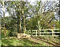 Log seat at West Wood