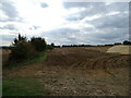 Hedgerow and field off Hardwater Road