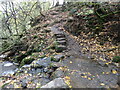 Path alongside Mill Gill