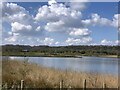 SD5830 : Number One Pit, Brockholes Nature Reserve by Jonathan Hutchins