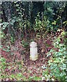 Old Milestone, Royal Wootton Bassett