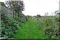 The line of the track through the allotments