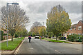 On Davy Road in autumn