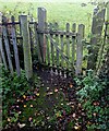 Kissing gate, Turnastone, Herefordshire