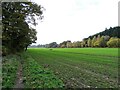 Long field beside the river