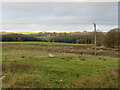 Farmland at Thornydykes