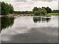 Bridge over the lake in Capesthorne Hall Park