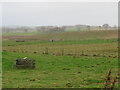 Fields at Broomiebank