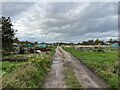 Coton Fields Allotments