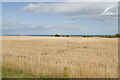 Stubble Field, Embleton