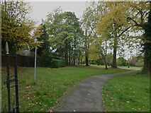 SU8750 : Path in Manor Park by Basher Eyre