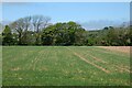 Farmland, Kea