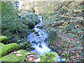 Stream with waterfall, from road bridge, Mork, Gloucestershire