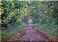 Distant figures on The Trans Pennine Trail