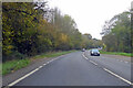 A36 Salisbury Road