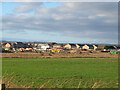 New houses, Amble