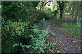 Footpath leading to Danebridge Road, Much Hadham