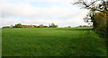 Grassy plateau north-west of Green Tye