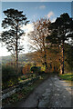 SH7672 : Autumnal lane north of Rowen by Andy Waddington