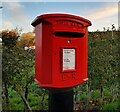 Postbox at White Roding