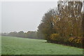 Misty fields near Hunton Bridge