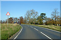 Road on Minchinhampton Common