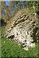 Silurian Wenlock limestone strata near Dudley