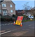ST3090 : Welsh / English temporary signs, Rowan Way, Newport by Jaggery