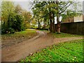 SE2599 : Lane to Forest Manor, Bolton-on-Swale by Humphrey Bolton