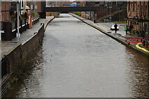 SJ4166 : Shropshire Union Canal by N Chadwick
