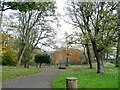 NZ3669 : Path through the park by Robert Graham