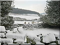 Bransdale in the snow