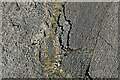 SO9391 : Wren's Nest limestone ripple beds (detail), Dudley by Roger  D Kidd
