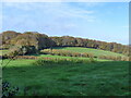 View across fields close to the crossroads, near Chapel Hill, Tintern