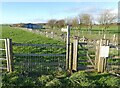 ST5254 : Path to Ubley Warren Farm by Roger Cornfoot