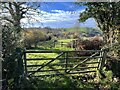 Field gates near Wern ddu