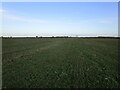 Footpath towards Rowston