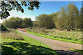 Into Newhall Valley Country Park, Sutton Coldfield