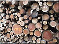 NH5055 : Log stack, Moy Wood by Richard Webb