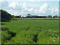 Barns off Straight Lane (A259)