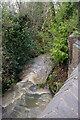 Stream at Bedworth Heath