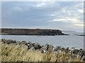 NT9464 : Eyemouth Fort on promontory by Jonathan Hutchins