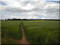 Public footpath west of Shirebrook (2)