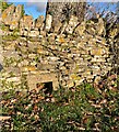 Badger Stile, Minchinhampton