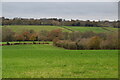 Farmland by Back Lane